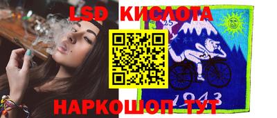 стафф Волгодонск