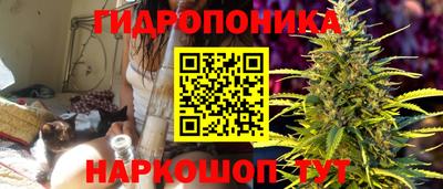 стафф Волгодонск