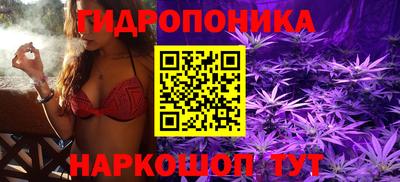 стафф Волгодонск