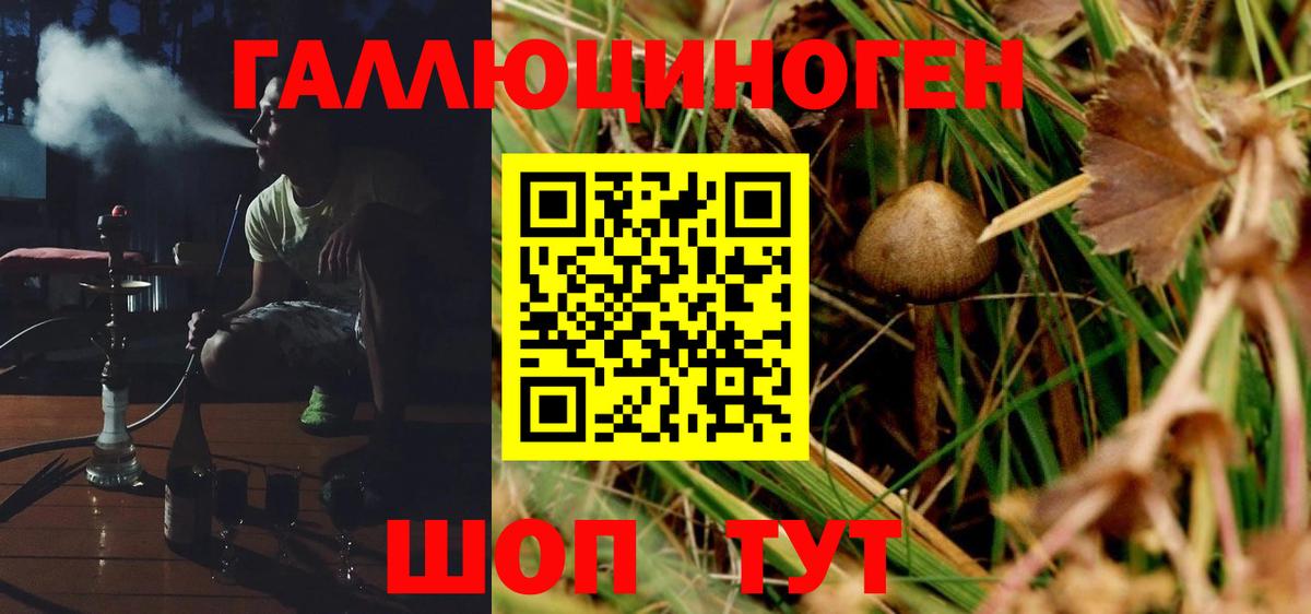 Псилоцибиновые грибы Magic Shrooms Печора
