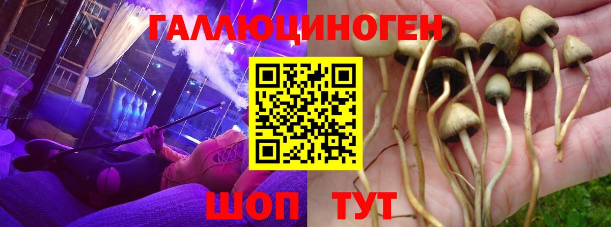 хочу   Галлюциногенные грибы MAGIC MUSHROOMS  Печора  Вход с VPN  Галлюциногенные грибы мухоморы 